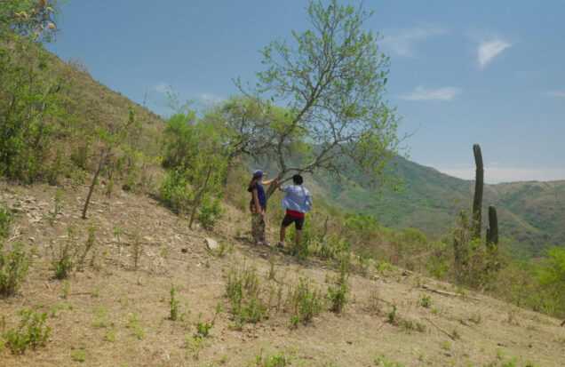 A film still from Our Land