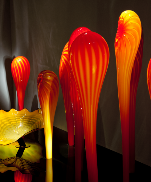 RS563 PS Chihuly Illuminations DD v22 20120117 1