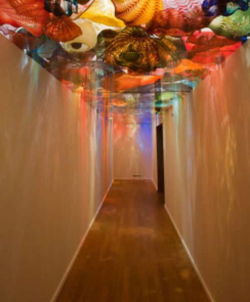 Dale Chihuly Collection